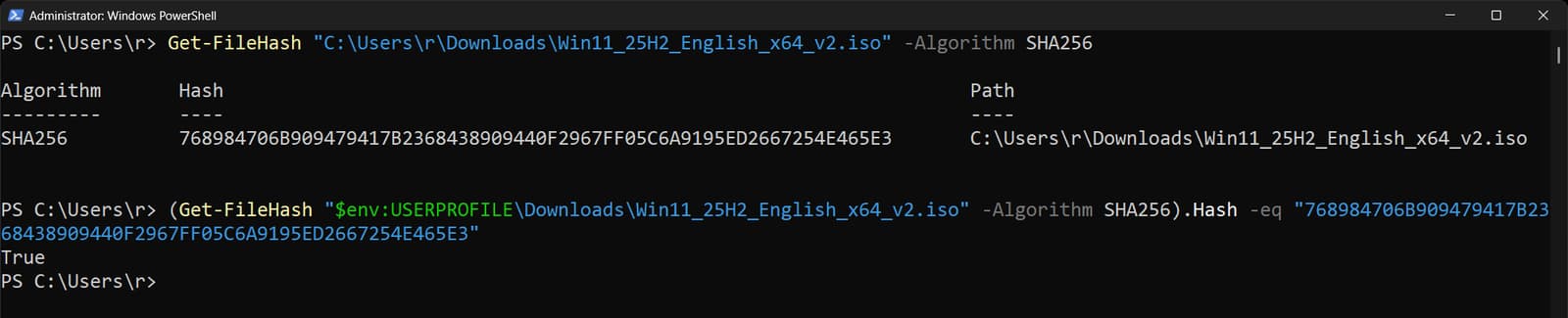 Hash verification