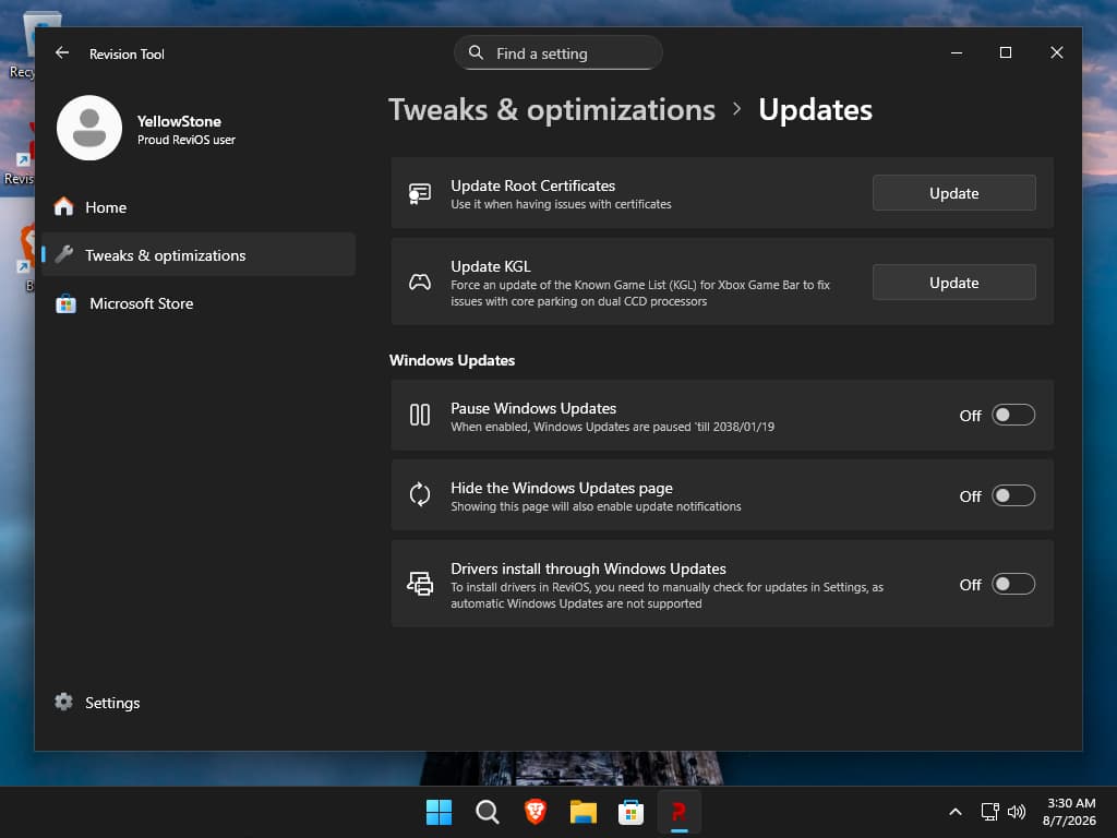 Revision tool updates on